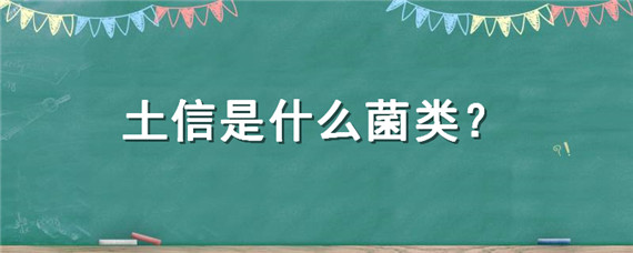 土信是什么菌类（菌土菌是什么菌）