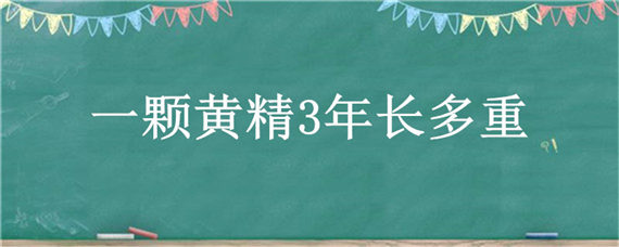 一颗黄精3年长多重（黄精一颗能长多重）