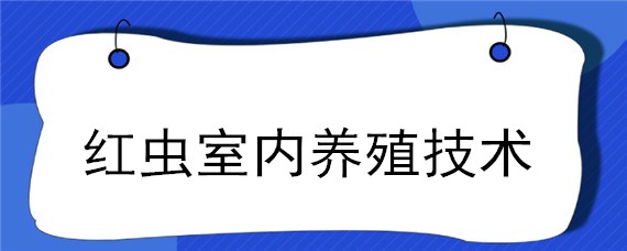 红虫室内养殖技术 红虫室内人工养殖技术