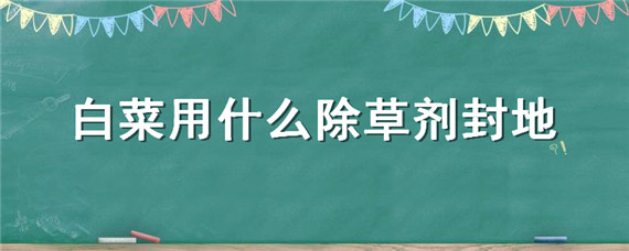 白菜用什么除草剂封地 大白菜苗前用什么灭草剂封地好