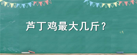 芦丁鸡最大几斤（芦丁鸡最重一只多少重）