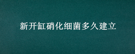 新开缸硝化细菌多久建立 新开缸多久能建立硝化细菌