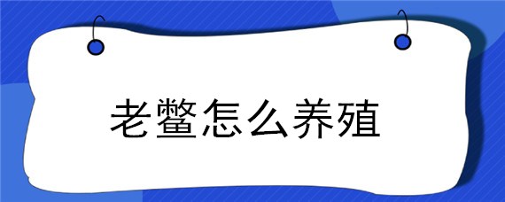 老鳖怎么养殖 如何养老鳖