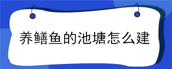 养鳝鱼的池塘怎么建（怎样建鳝鱼池）