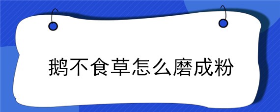 鹅不食草怎么磨成粉（鹅不食草粉的使用方法）