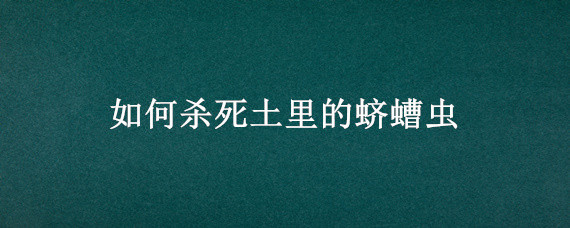 如何杀死土里的蛴螬虫