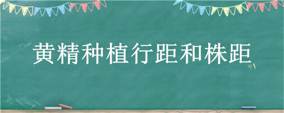 黄精种植行距和株距 黄精苗种植株距行距和种的深度是多少