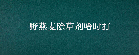 野燕麦除草剂啥时打 野燕麦用什么除草剂