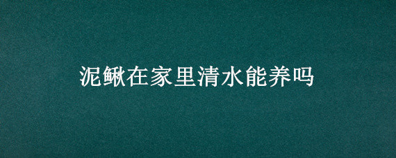 泥鳅在家里清水能养吗 清水养泥鳅要在水里放些什么