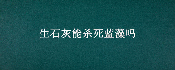 生石灰能杀死蓝藻吗 用生石灰能杀灭蓝藻吗