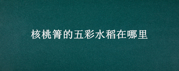 核桃箐的五彩水稻在哪里 西山核桃箐七彩稻田