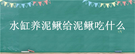 水缸养泥鳅给泥鳅吃什么 自己养泥鳅鱼喂什么