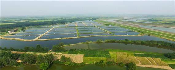 甲鱼养殖基地（附近甲鱼养殖基地）