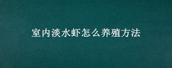 室内淡水虾怎么养殖方法（淡水虾的养殖方法家里养殖）