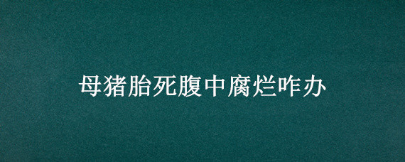 母猪胎死腹中腐烂咋办（母猪腹中死胎腐烂有哪些症状）