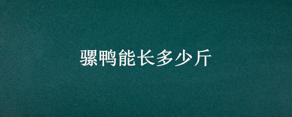 騾鴨能長(zhǎng)多少斤 騾鴨怎么養(yǎng)