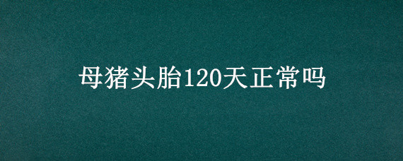 母猪头胎120天正常吗 头胎母猪120天了为啥没反应