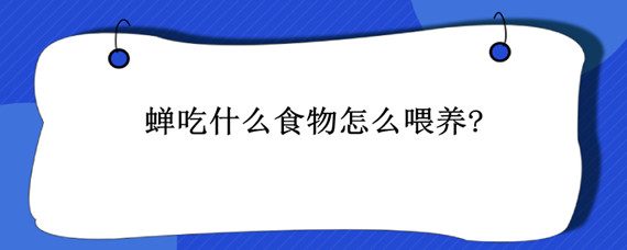 蝉吃什么食物怎么喂养?（家养蝉吃什么食物怎么喂养?）