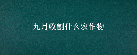 九月收割什么農(nóng)作物（九月收獲什么農(nóng)作物）