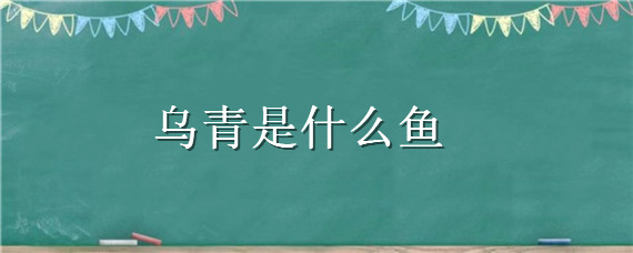 乌青是什么鱼 乌青是什么鱼?