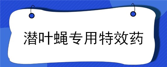 潜叶蝇专用特效药（潜叶蝇用什么药）