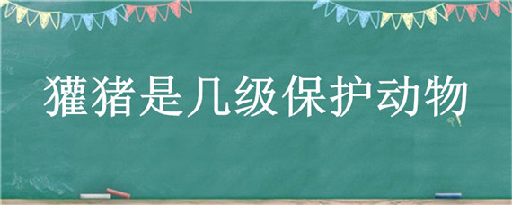 獾豬是幾級保護動物