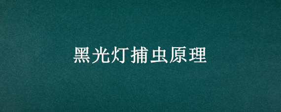 黑光燈捕蟲(chóng)原理 黑光燈誘蟲(chóng)原理