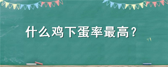 什么鸡下蛋率最高 什么鸡下蛋率最高排名