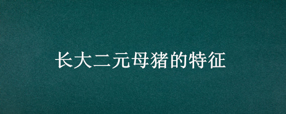 長大二元母豬的特征 長大二元母豬的特征圖片