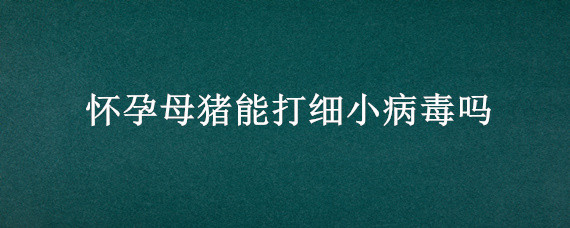 懷孕母豬能打細小病毒嗎 懷孕母豬可不可以打細小病毒