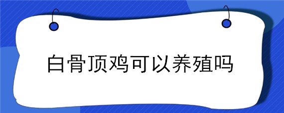 白骨頂雞可以養(yǎng)殖嗎