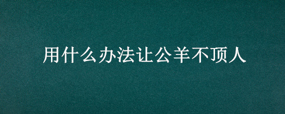 用什么辦法讓公羊不頂人