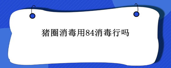 猪圈消毒用84消毒行吗