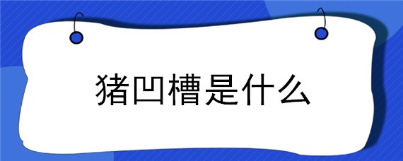 豬凹槽是什么 豬凹槽什么味道