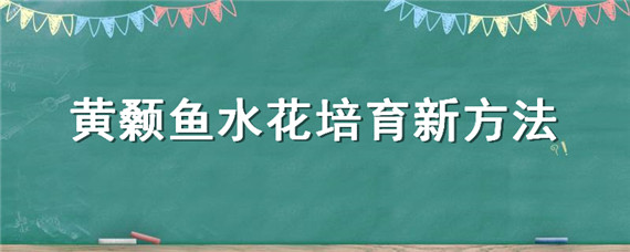 黄颡鱼水花培育新方法 黄颡鱼水花苗批发