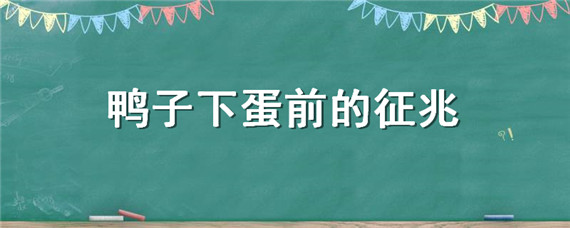 鸭子下蛋前的征兆 鸭子下蛋前有什么预兆