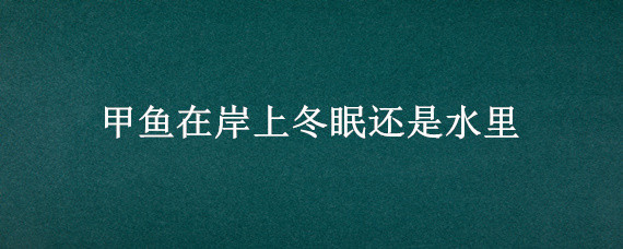 甲鱼在岸上冬眠还是水里（冬天甲鱼在水底还是岸边冬眠）