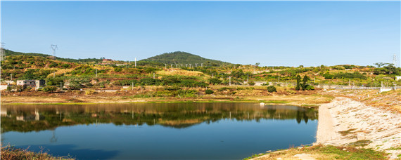 怎么申請農(nóng)田挖魚塘（怎么申請農(nóng)田挖魚塘有沒有補貼）