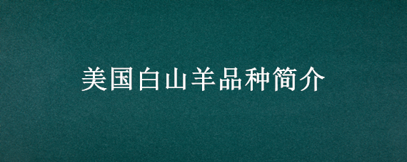 美国白山羊品种简介 美国白山羊品种介绍