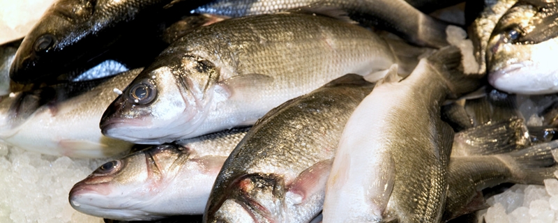 草魚(yú)嘴里有寄生蟲(chóng)怎么治（草魚(yú)有蟲(chóng),有什么癥狀,如何防治?）