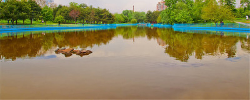 龙虾塘青苔如何清理 虾塘青苔怎么清除