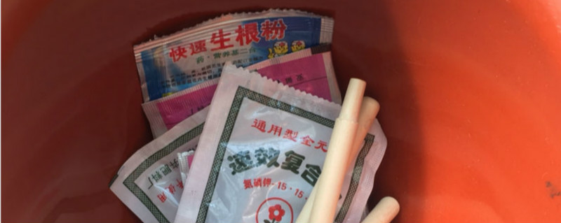 生根粉的用法 杨树生根粉的用法