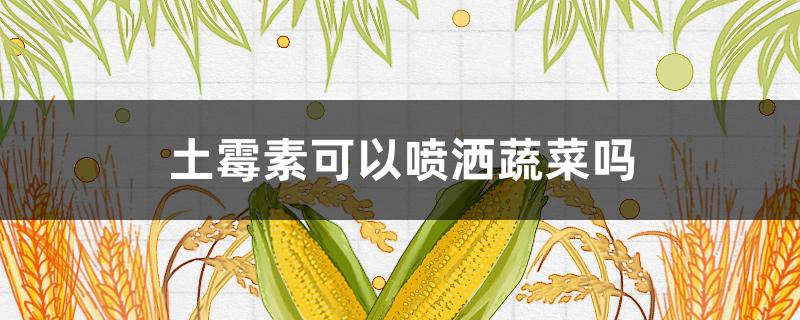 土霉素可以喷洒蔬菜吗（土霉素可以往菜苗上喷洒吗）