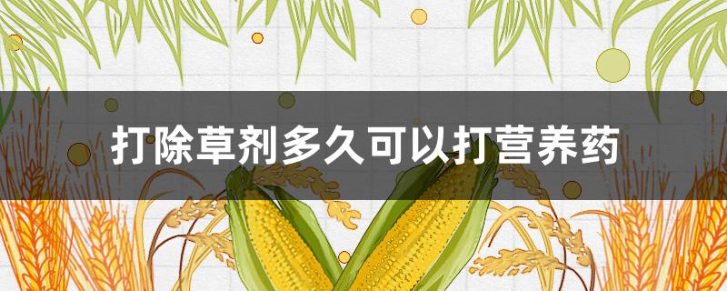 打除草劑多久可以打營養(yǎng)藥