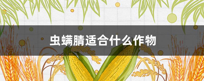 蟲螨腈適合什么作物 蟲螨腈對(duì)什么作物有藥害