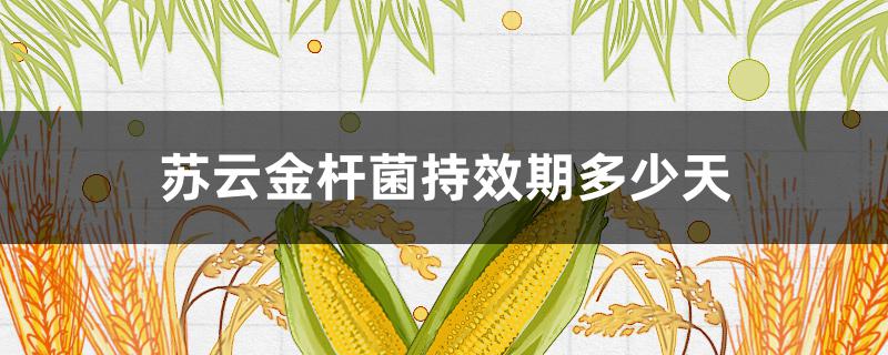 蘇云金桿菌持效期多少天（蘇云金桿菌什么時候用）