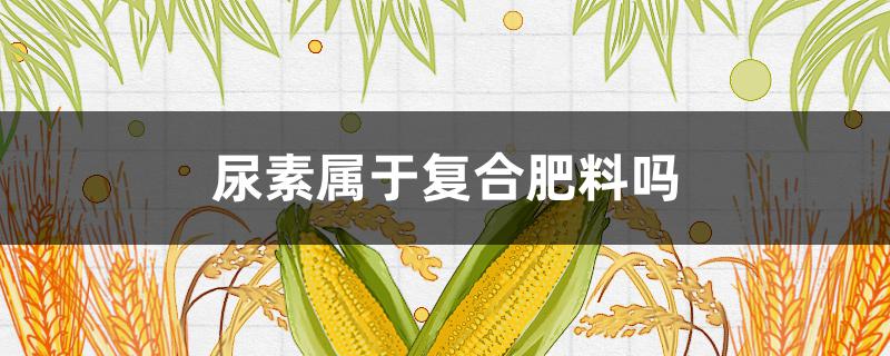 尿素屬于復(fù)合肥料嗎（復(fù)合肥料是尿素嗎）