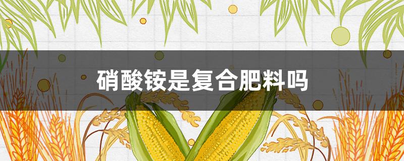 硝酸铵是复合肥料吗（硝酸铵可用作复合肥吗）