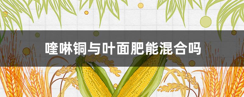 喹啉銅與葉面肥能混合嗎 喹啉銅能和鈣硼葉面肥一起打嗎