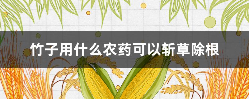 竹子用什么农药可以斩草除根（怎样能把竹子斩草除根）